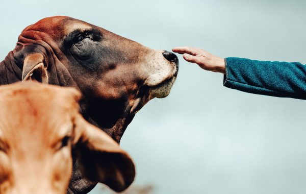 FarmerSmithEstate_shoot2__ChloeSmithPhotography_0135